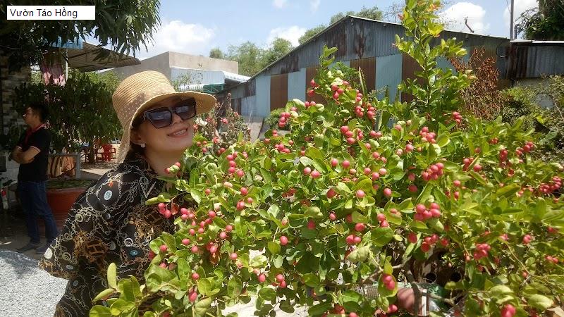 Vườn Táo Hồng