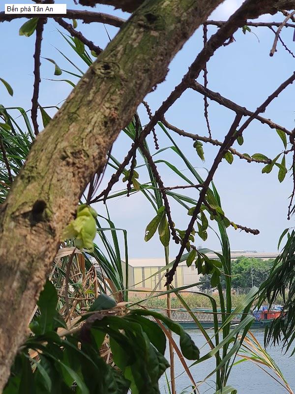 Bến phà Tân An