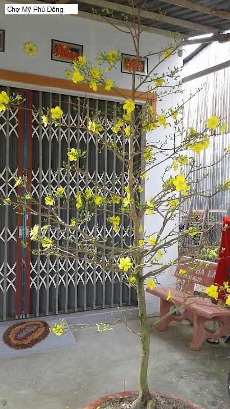 Chợ Mỹ Phú Đông